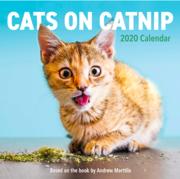 Cats on Catnip 2020 Calendar